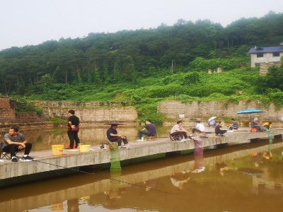 釣魚協(xié)會每一屆釣魚比賽活動